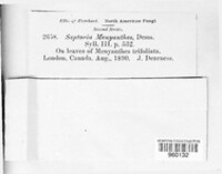Image Associated With the Occurence